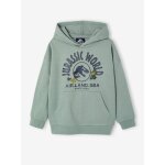 Sweat � capuche jurassic world lichen