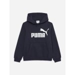 Sweat  capuche logo imprim bleu