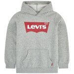 Sweat capuche lvb crewneck grey heather