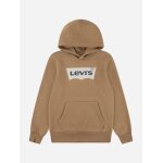 Sweat  capuche rodeo brown