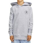 Sweat � capuche swift gris