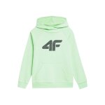 Sweat � capuche vert
