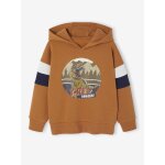 Sweat garon  capuche motif plac noix de pcan