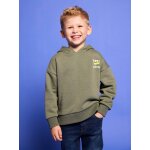 Sweat gar�on � capuche motif poitrine vert sauge