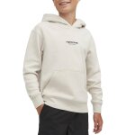 Sweat gar�on � capuche vesterbro beige