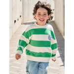 Sweat gar�on ray� motif plac� pistache