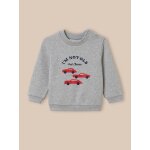 Sweat imprim� b�b� - coton biologique gris chine