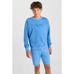 Sweat - shirt andibo saphir