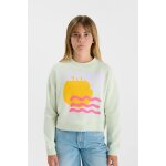Sweat - shirt astagi sauge