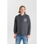 Sweat - shirt capuche istrebo steel