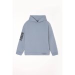 Sweat - shirt capuche ruinobo argent Sweat - shirt capuche ruinobo argent