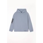 Sweat - shirt capuche ruinobo argent Sweat - shirt capuche ruinobo argent