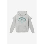 Sweat - shirt capuche steffygi ash grey mel Sweat - shirt capuche steffygi ash grey mel