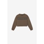 Sweat - shirt dianegi chocolat