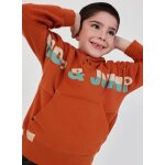 Sweat - shirt enfant en coton � capuche marron