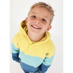 Sweat - shirt gar�on en molleton � capuche vert