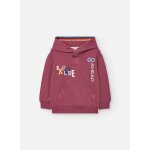 Sweat - shirt garon molleton grenat