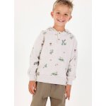 Sweat - shirt gar�on en molleton imprim� aventure multicolore