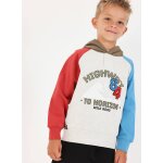 Sweat - shirt molleton gar�on � capuche highway 84 multicolore