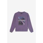 Sweat - shirt nakabo grape