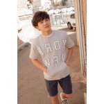 Sweat - shirt napalbo ash grey