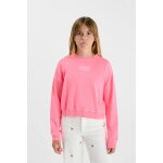 Sweat - shirt nilagi pink fluo