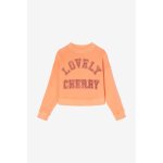 Sweat - shirt stephagi melon