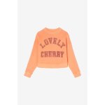 Sweat - shirt stephagi melon