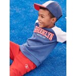 Sweat sport color block team brooklyn garon bleu roi