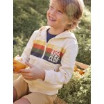 Sweat zipp  capuche animation rayures garon beige chin