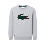 Sweatshirt enfant en coton gris chin�