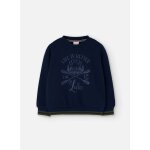 Sweatshirt gar�on en polaire rames bleu