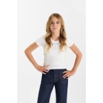 Tee - shirt baltagi ice cream