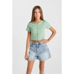 Tee - shirt cerbegi basilic