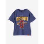 Tee - shirt gar�on harry potter bleu ardoise