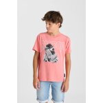 Tee - shirt grifinbo peche