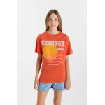 Tee - shirt iliosgi flam