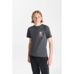 Tee - shirt tegabo steel