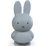 Tirelire miffy bleu