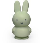 Tirelire miffy vert, noir