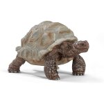 Tortue g�ante marron