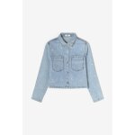 Veste apologi blue