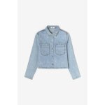 Veste apologi blue
