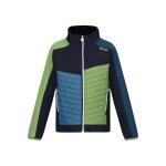 Veste enfant softshell brynden bleu marine / vert piquant