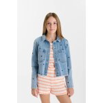 Veste idagi blue
