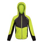 Veste prenton vert kaki clair / gris fonc
