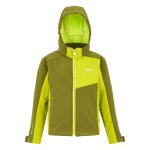 Veste softshell acidity viii vert n�phrite / vert clair