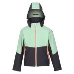 Veste softshell haydenbury gris phoque / menthe douce