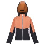 Veste softshell haydenbury gris phoque / orange clair