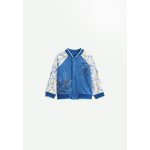 Veste teddy bb gamboa bleu